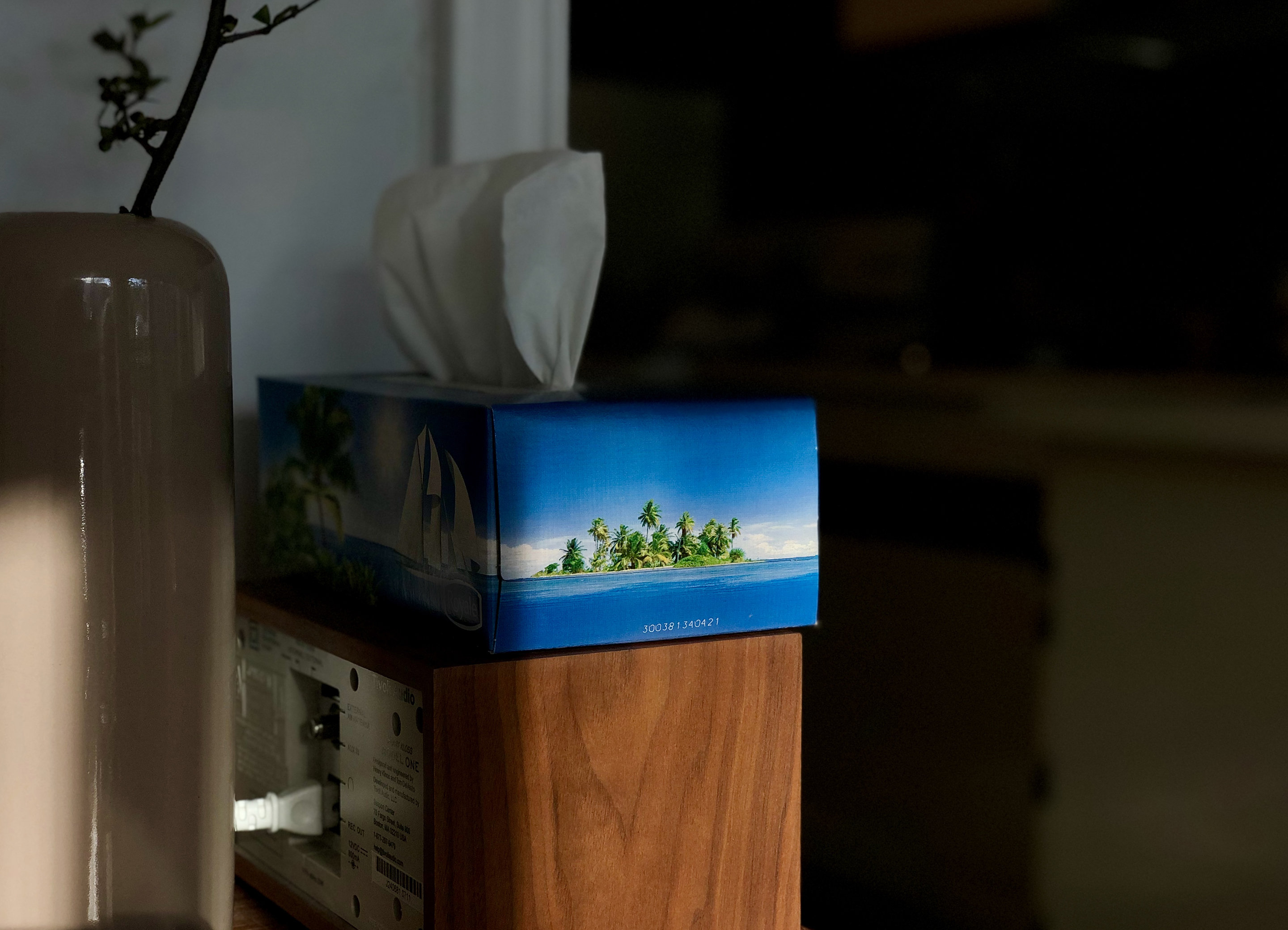 Kotama Bouabane: image of tissue box with tropical island printed on it